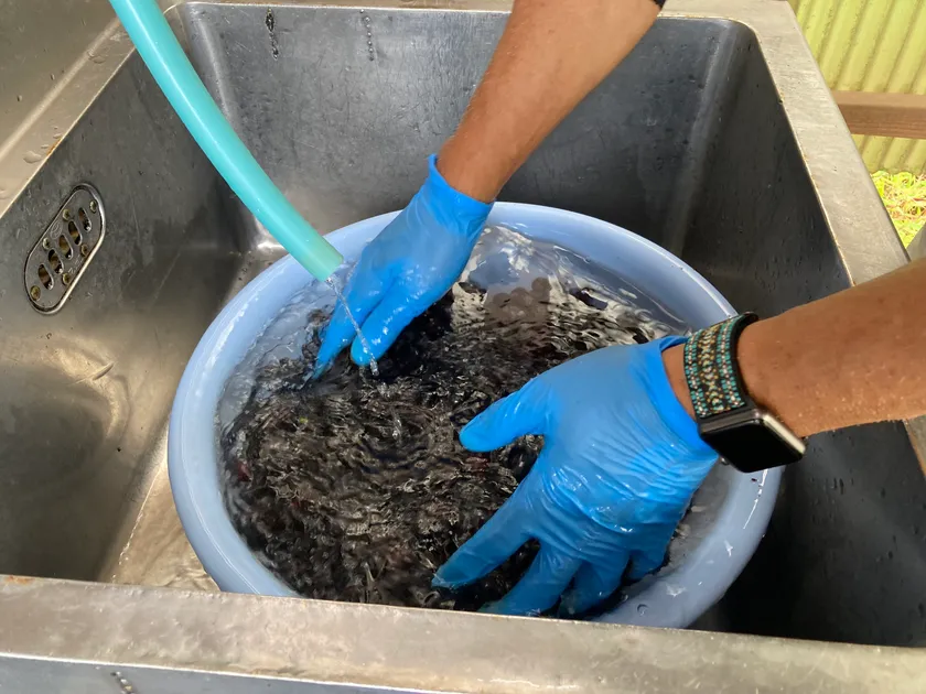 天然水で水洗い