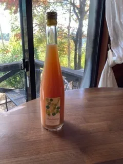 シャルドネジュース出来ました