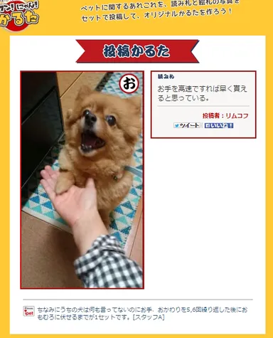 投稿いただいた絵札と読み札のイメージ 1