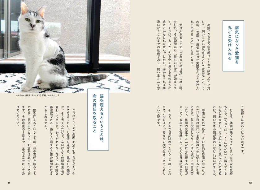 中身1