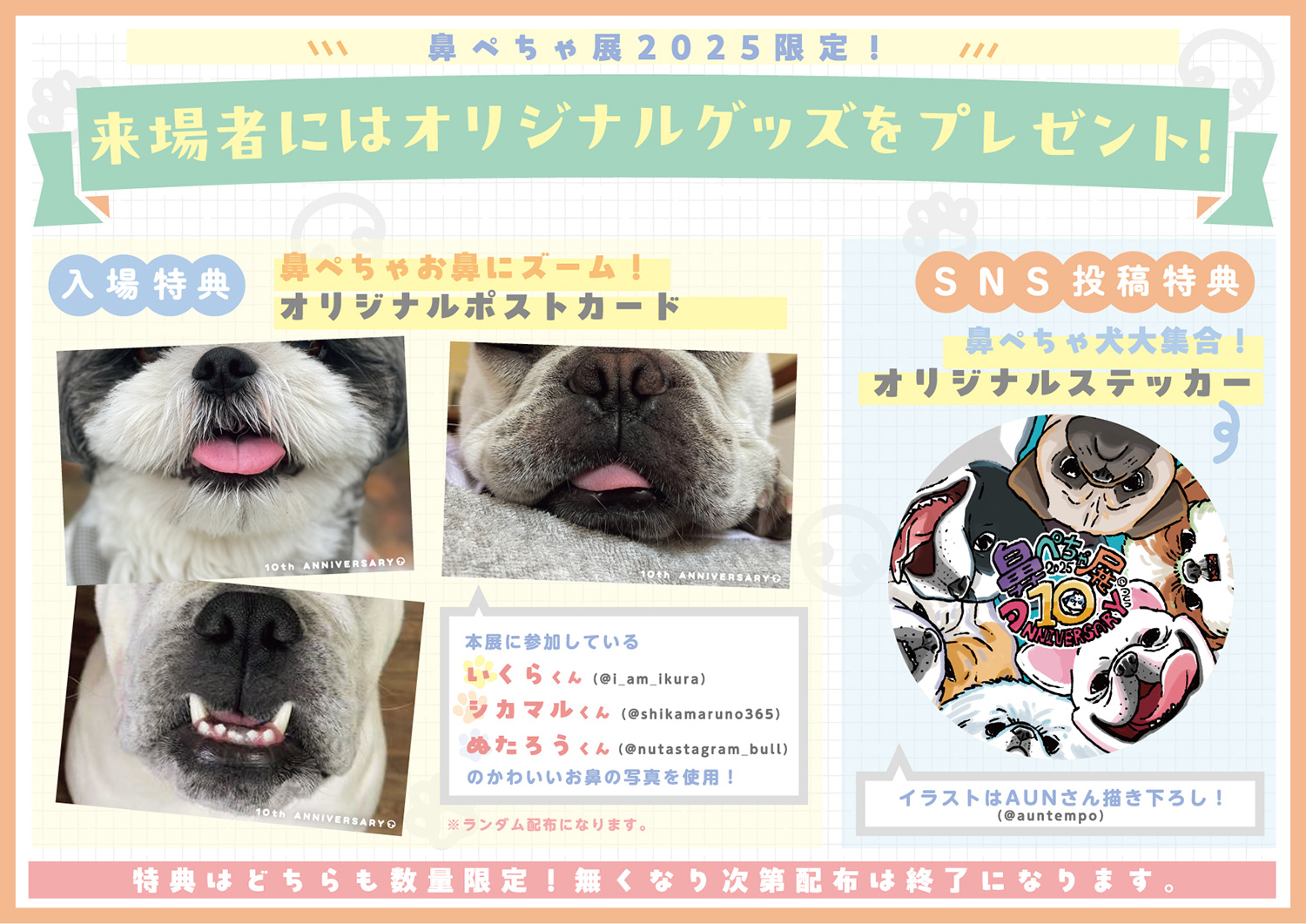 祝・10周年♪ぶひ可愛い“鼻ぺちゃ犬”が大阪に集結 「鼻ぺちゃ展」11/14