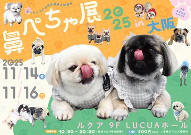 鼻ぺちゃ展 キービジュアル(横)