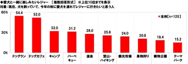 愛犬と一緒に楽しみたいレジャー