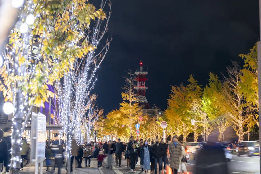 日本一!けやき大通りのイルミネーション