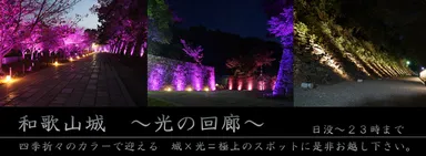 和歌山城～光の回廊～