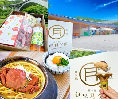 道の駅伊豆月ケ瀬について