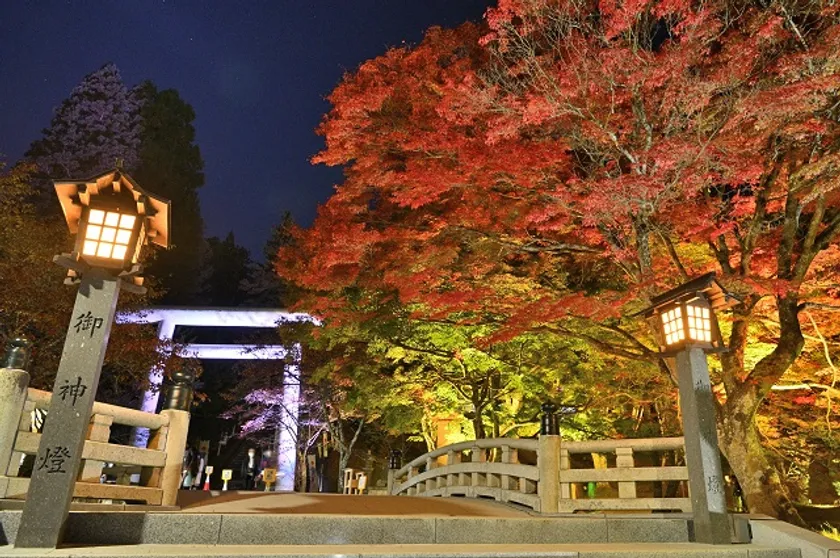 土津神社の紅葉