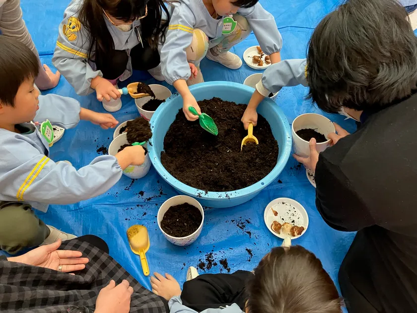 楽しそうにチューリップの植付けをする園児たち