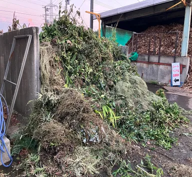 日々大量に持ち込まれる廃棄される枝葉の山