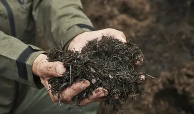 私たちが作る土