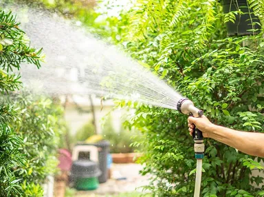 緑に水をやり涼しげなイメージ