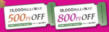 オータムキャンペーン 内容