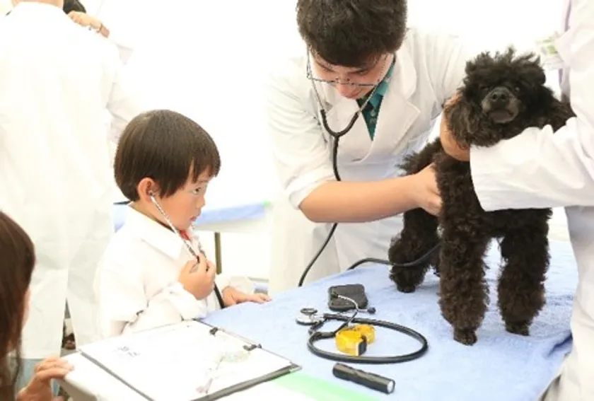 1日獣医師体験コーナー