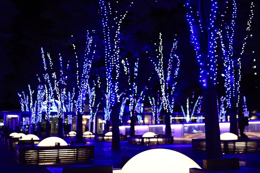 けやきひろば2階並木道