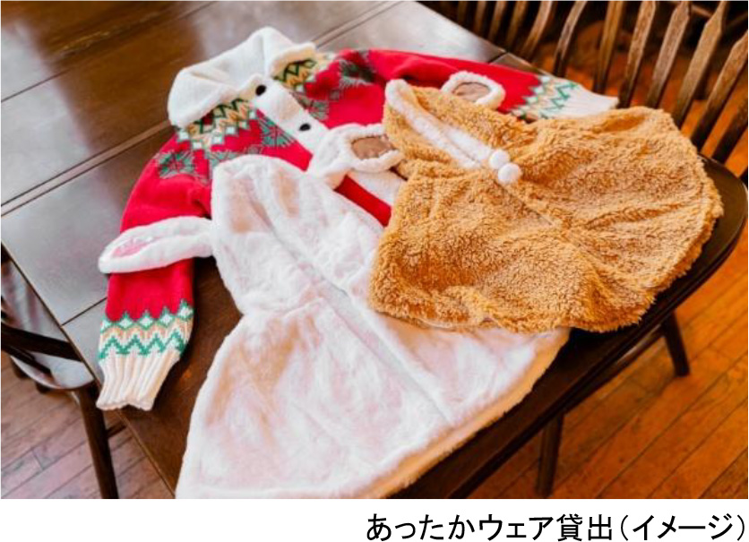 画像14