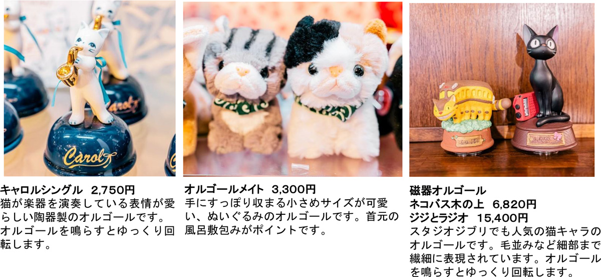 画像7