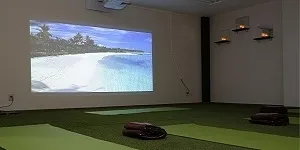 目の前に大自然の映像