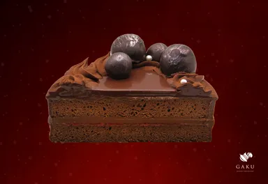 GAKUクリスマスザッハトルテ断面