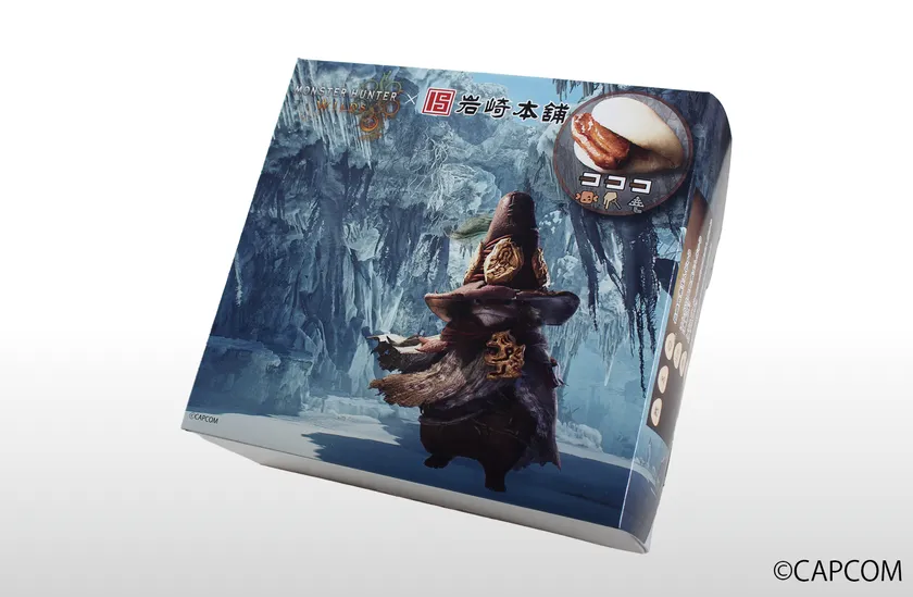 パッケージ写真