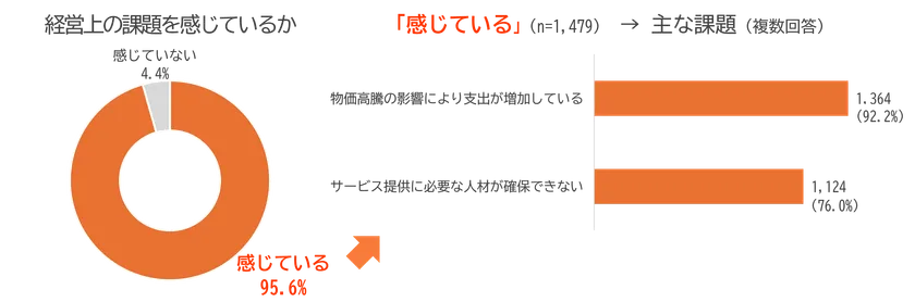 図3:経営上の課題を感じているかと、感じている場合の主な課題