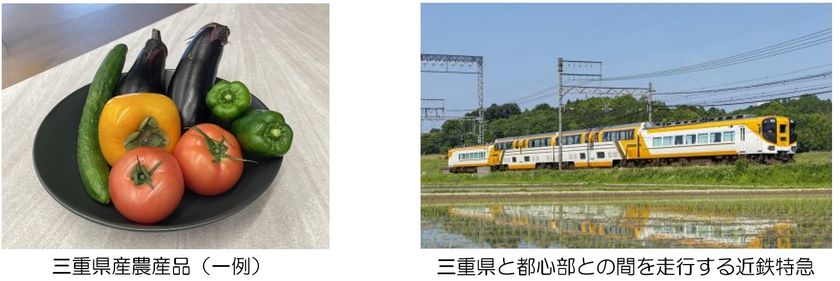 【名鉄】10/11発売 ３・３・SUNフリー マグネットセット　近鉄　南海 3・3・SUNデジタルフリーきっぷ オリジナル入場券セット」を