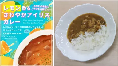 パッケージ／カレー外観