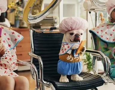 【めちゃコミックテレビCM】2014年８月放映