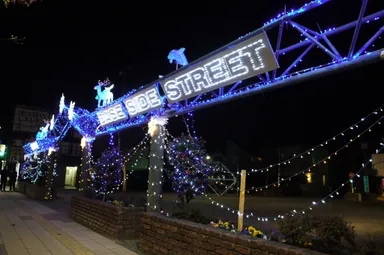 ベースサイドストリートイルミネーション1