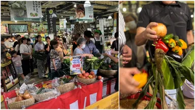 野菜バケツに積み放題