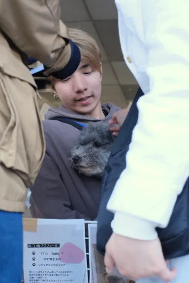 いぬねこプロジェクトさんによる保護犬猫譲渡会