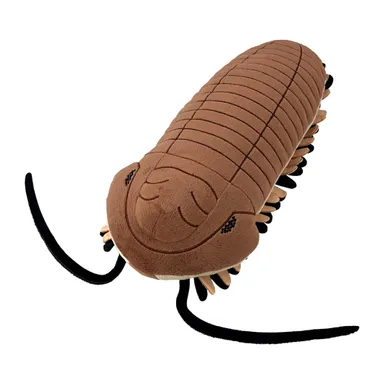 絶滅生物ぬいぐるみ_三葉虫