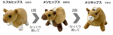 絶滅生物ぬいぐるみ_ウマ科の進化