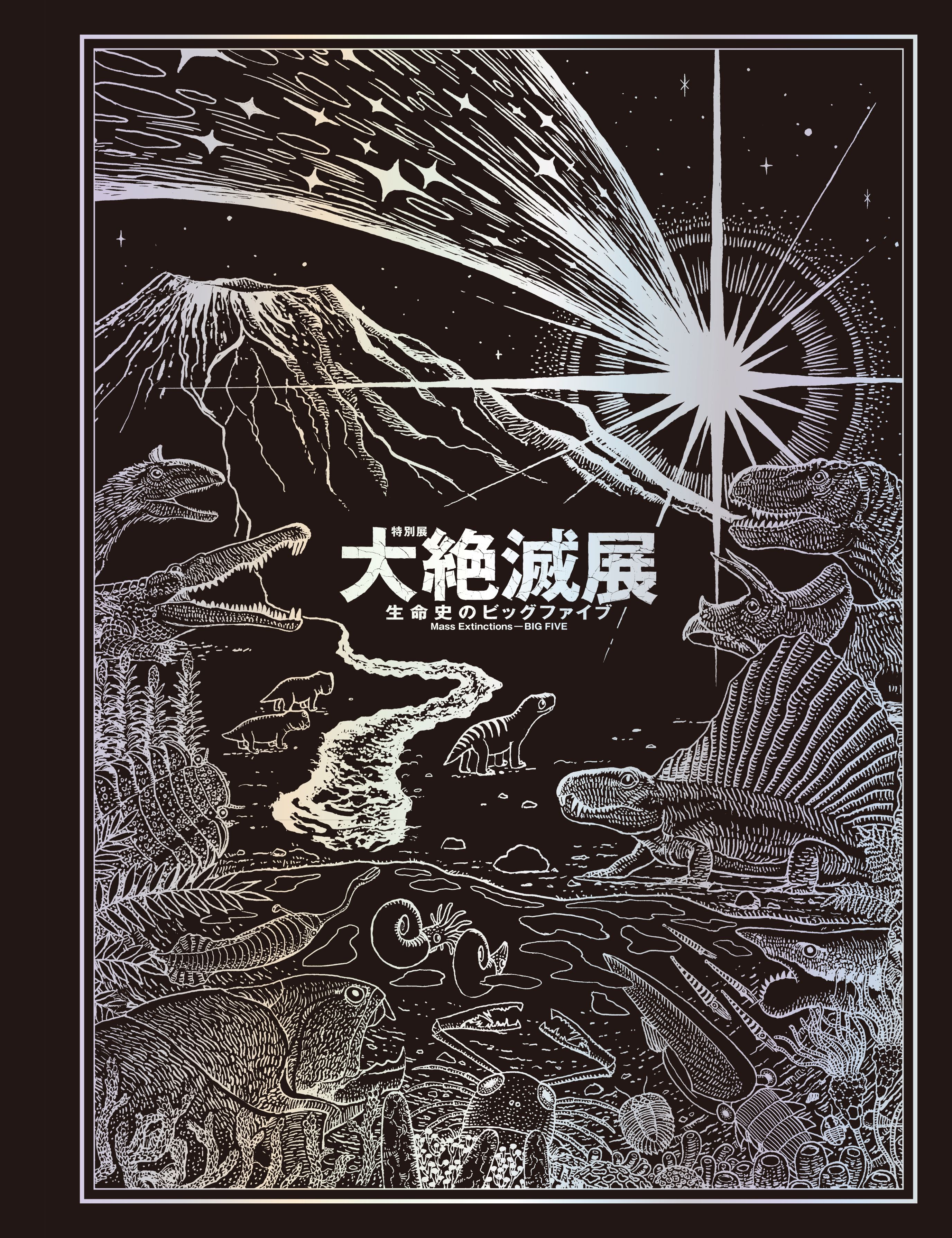 画像16