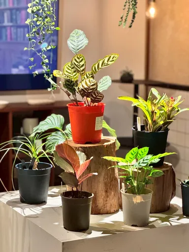 展示色見イメージ(2)