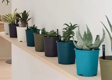 室内飾りつけイメージ