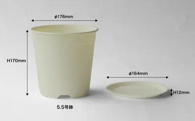 鉢・受け皿サイズ(3)