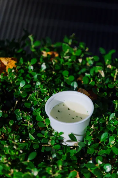 TOKYO周穫祭SoupBar