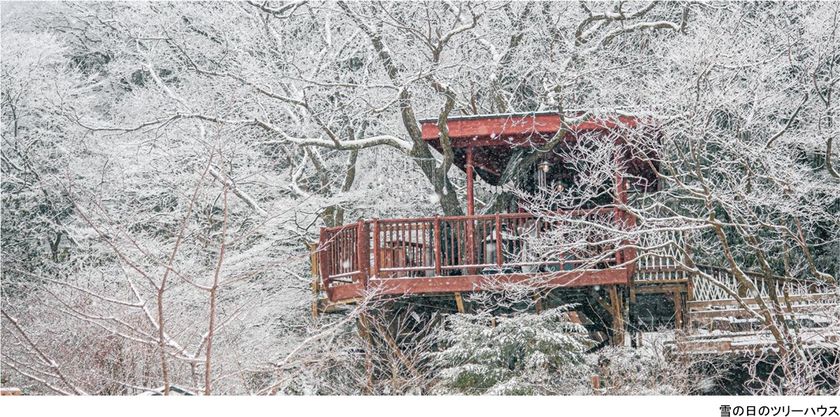 ROKKO森の音ミュージアム
SIKIガーデンWinter Season
冬に色変わりする木々と森の静寂を堪能する季節の到来
2025年12月1日(月)~2026年2月28日(土)