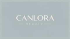 合同会社LEXIAのロゴ