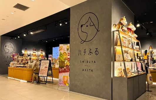 ハチふる店舗