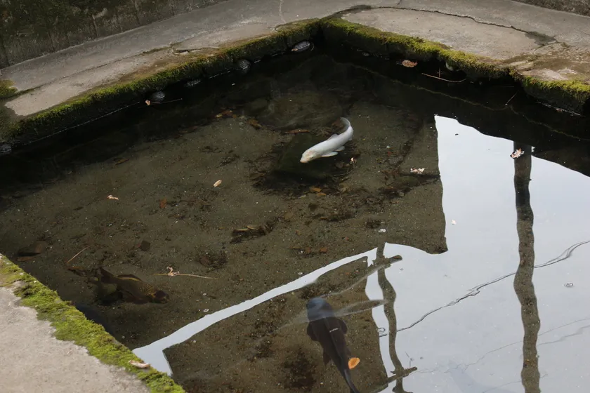 妙見七つ井戸　イメージ2