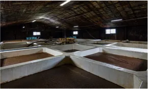 工場見学も大人気です！