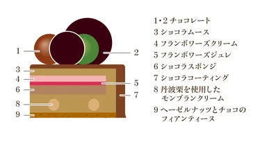 ノエルショコラフランボワーズ／断面図
