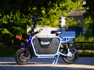 愛犬と旅する電動バイク「Doggie」に 特定小型原付モデルが登場! 11月 愛犬と旅する電動バイク「Doggie」に 特定小型原付モデルが登場! 11月