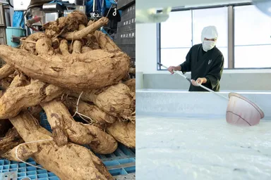 葛粉の原料(葛根)と製法