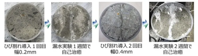 写真1:ひび割れの自己治癒状況