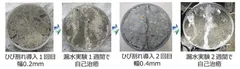 写真1：ひび割れの自己治癒状況