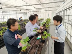 デンソー×DPT(1)