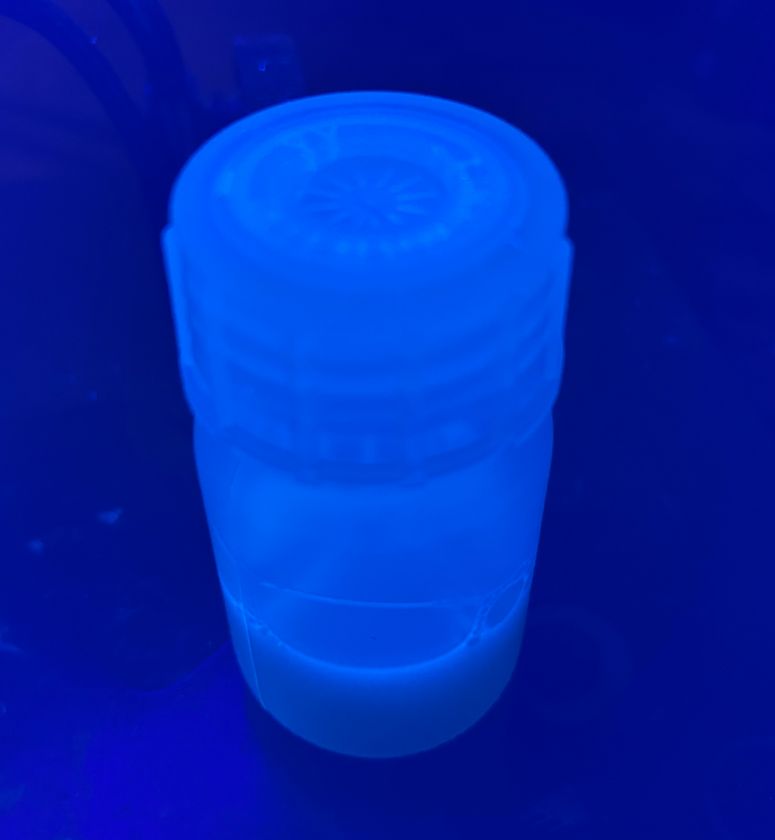 農薬としての効果を確認した有機バイオマス系廃棄物から合成した量子ドット(紫外線照射下)