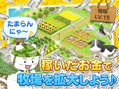 たまらんにゃ～